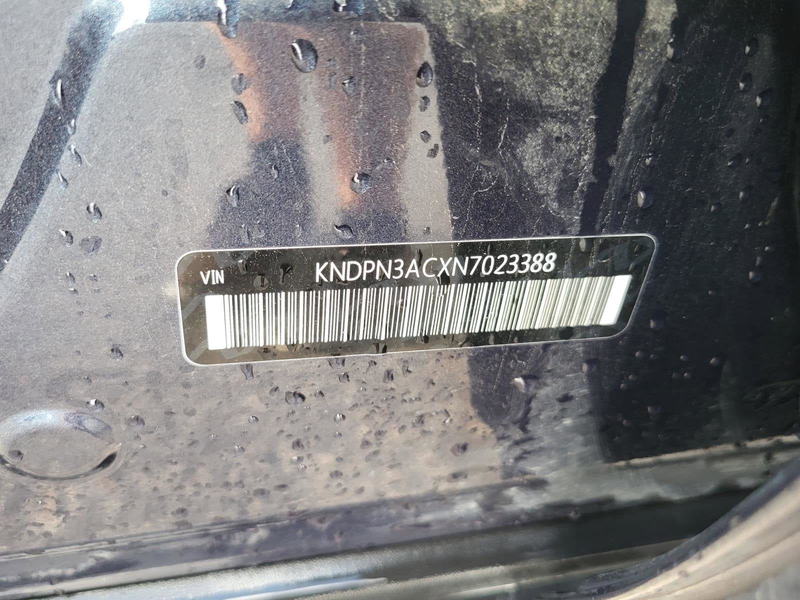 2022 Kia Sportage EX